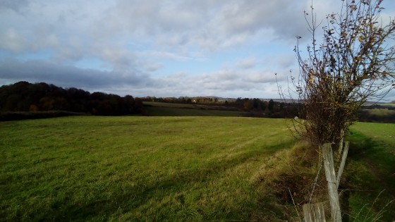 Campagne