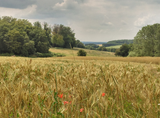 campagne