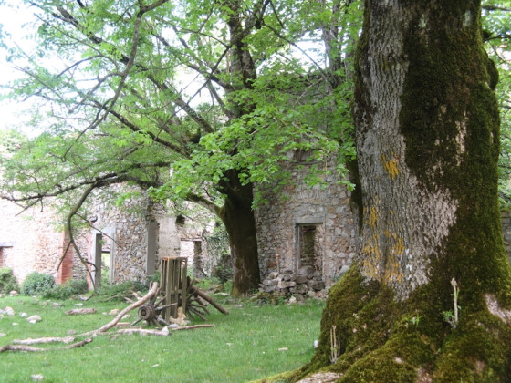 Campeau