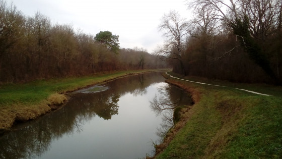Canal d\'Orléans