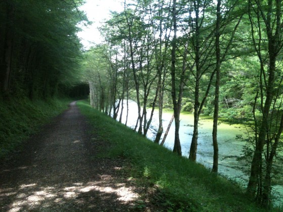 Canal d\'Orléans