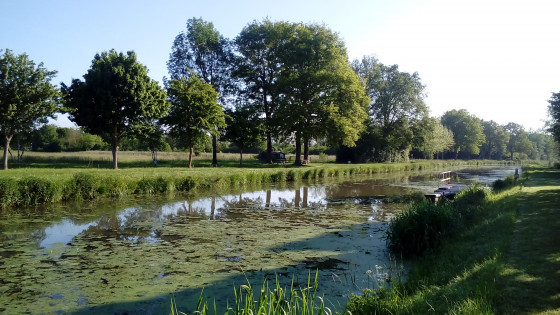 Canal d\'Orléans