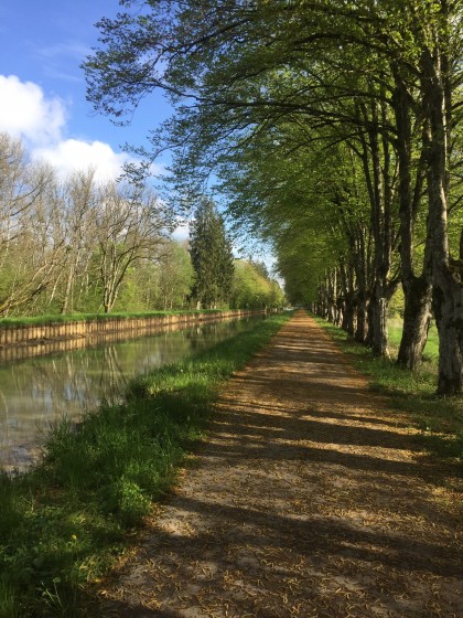 Canal de Champagne &agrave; Bourgogne