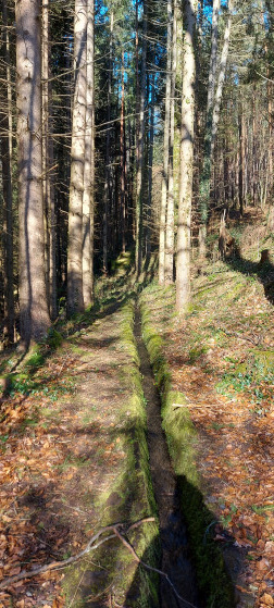 Canal de dérivation du Ziegbach, partie amont
