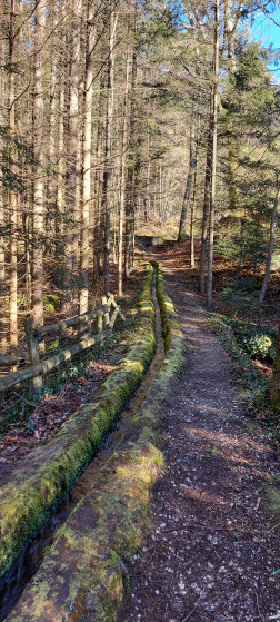 Canal de dérivation du Ziegbach