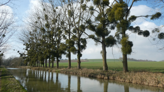 Canal de l'Ourcq entre Ocquerre et Lizy