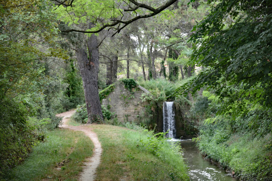 Canal des Alpilles