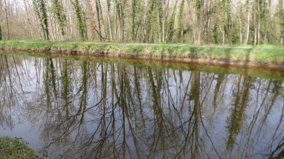 Canal du Forez : entre le pont canal et Frécon Neuf