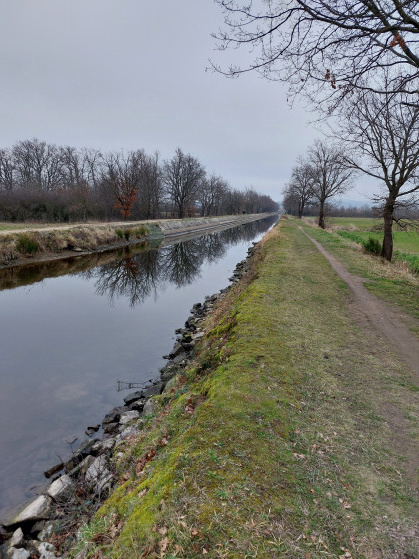 Canal du Forez