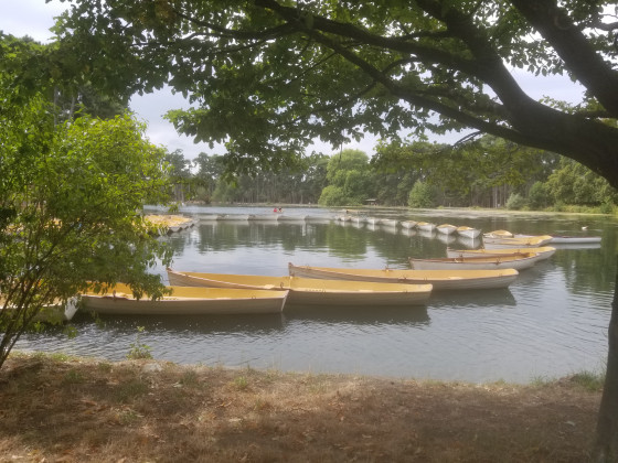 Canoës