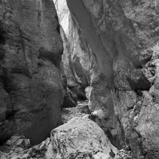 Canyon - début
