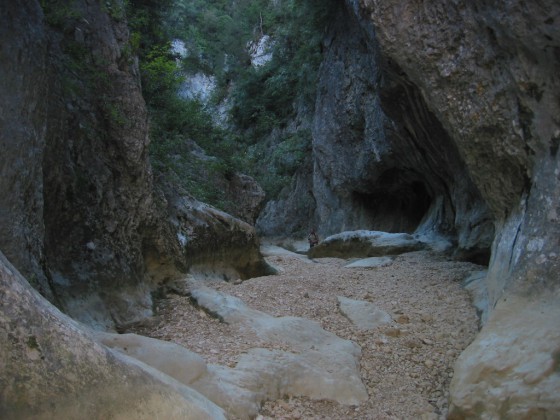 Canyon des Concluses