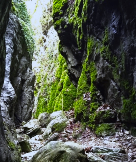 Canyon des Gueulards