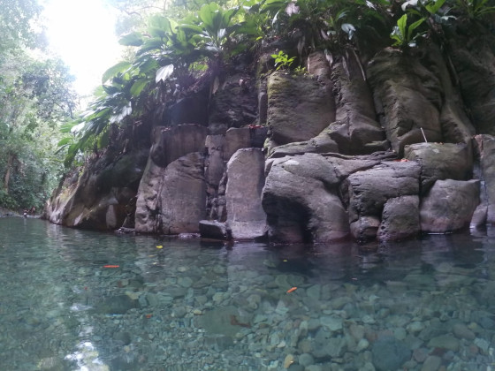canyon moustique