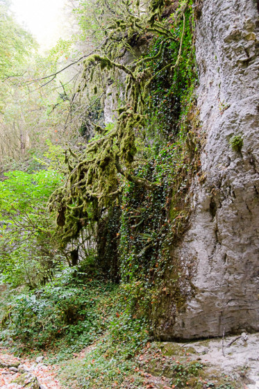 Canyon