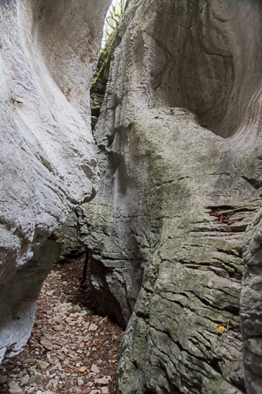 Canyon