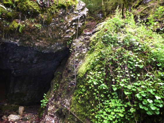 Canyon