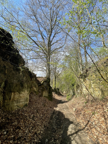 Canyon