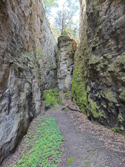 Canyon
