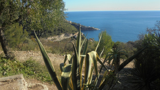 Vue du cap Mala