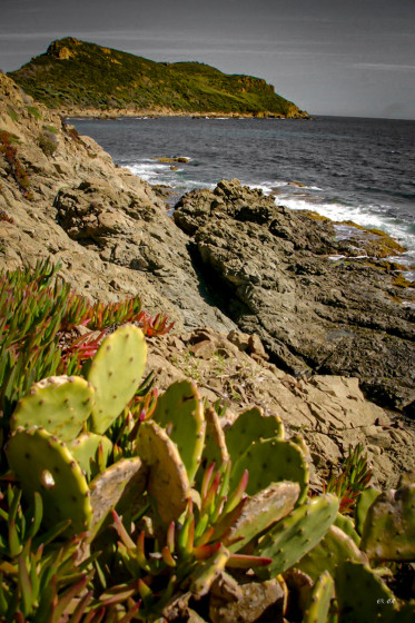 Cap Taillat