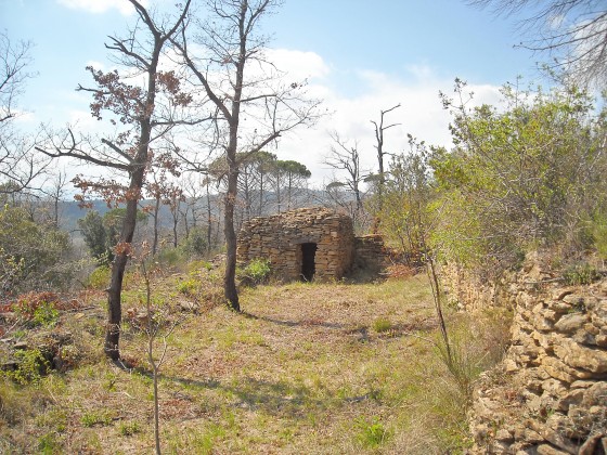 Capitelle hors sentier
