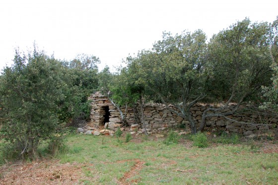 Capitelle