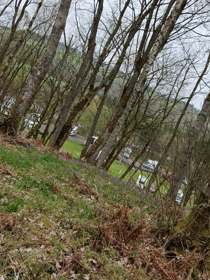 Caravan Park