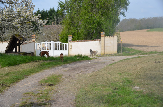 Carrefour à La Barde
