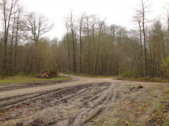Carrefour de la Porte Paradis