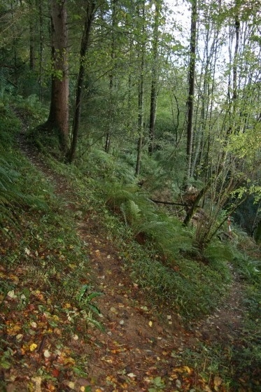 2- Carrefour Gouffre Hayau - Crèque Noèle