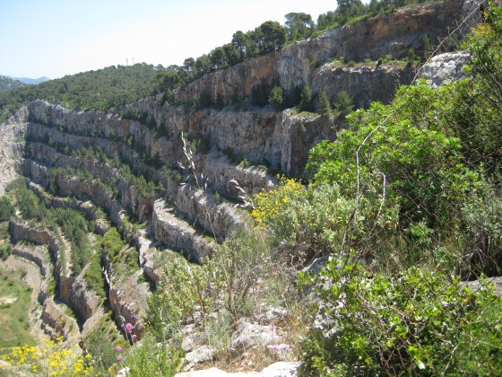 Carrière