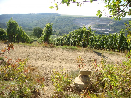 Carrière