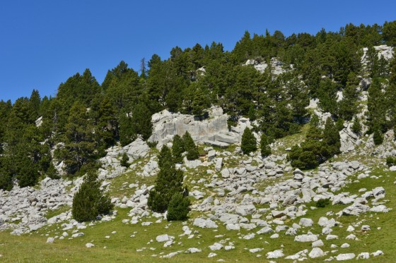 Carrieres Romaines