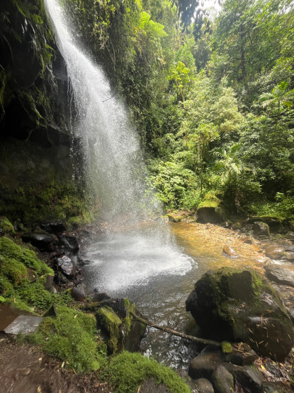 Cascade 1