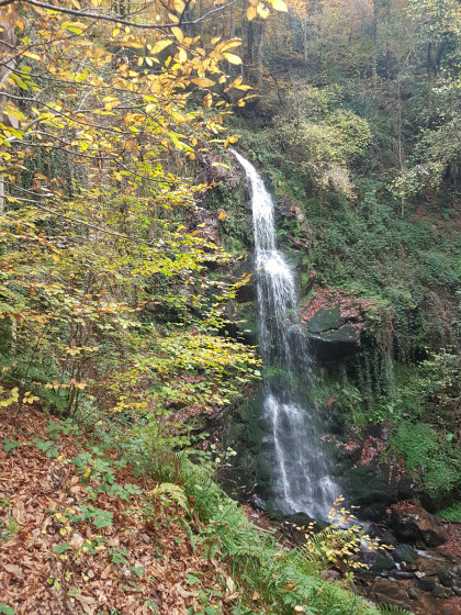 Cascade 1