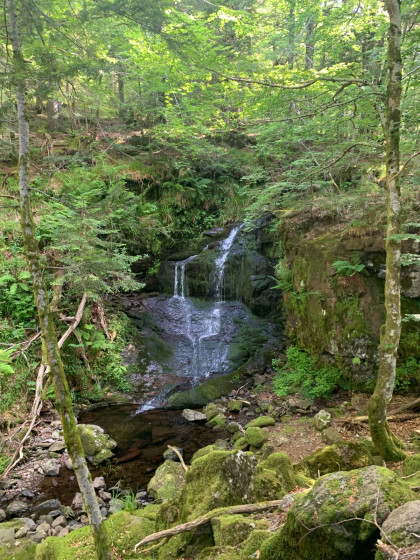 Cascade au coeur de la foret