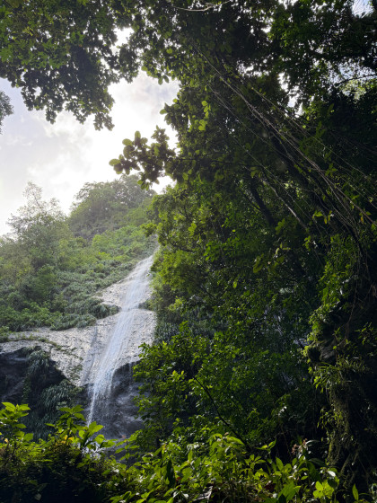 Cascade couleuvre