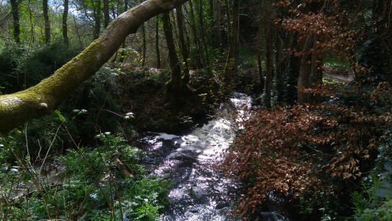 Cascade de l'ancien moulin de Kergoff