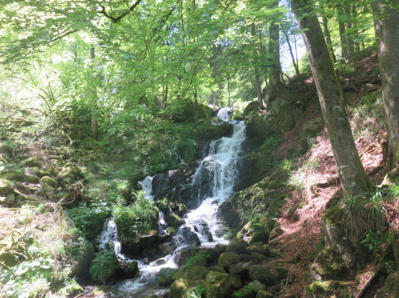Cascade de la Serva