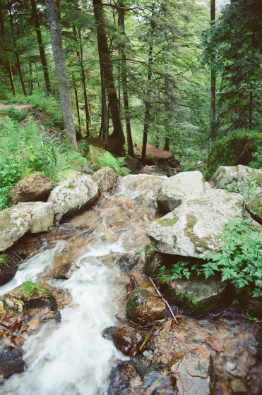 Cascade de la Serva