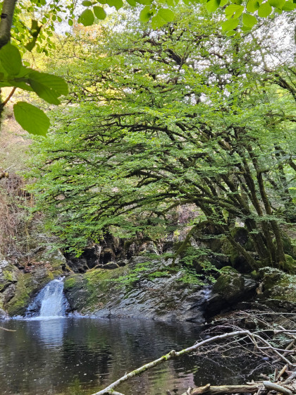 cascade de la tour
