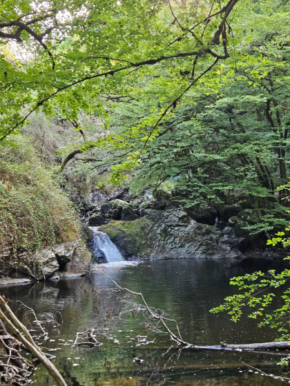 cascade de la tour