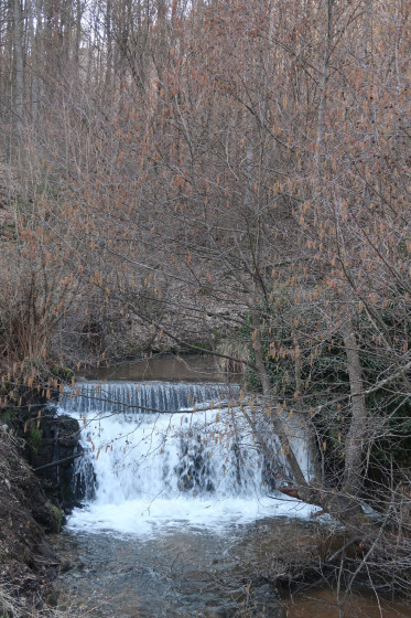 Cascade de la Wasenberg