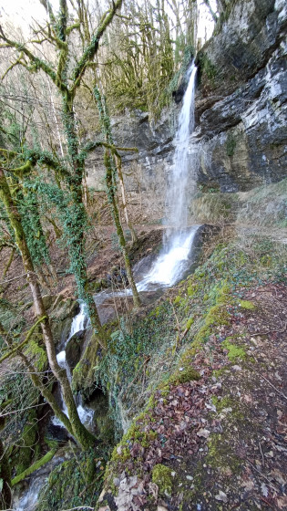 Cascade de pisse-vache