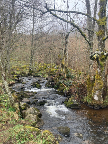 Cascade des Essarts