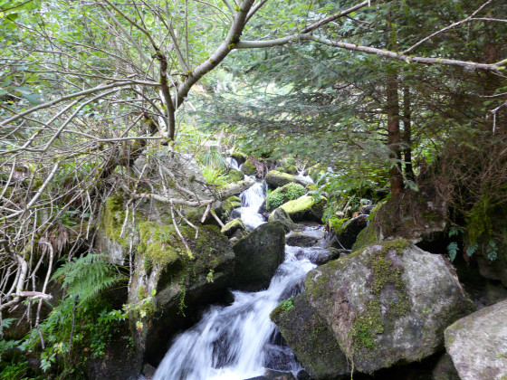 Cascade du Rudlin