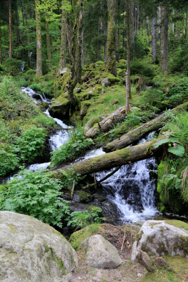 Cascade du Stolz Ablass