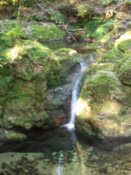 Cascade du Vialais