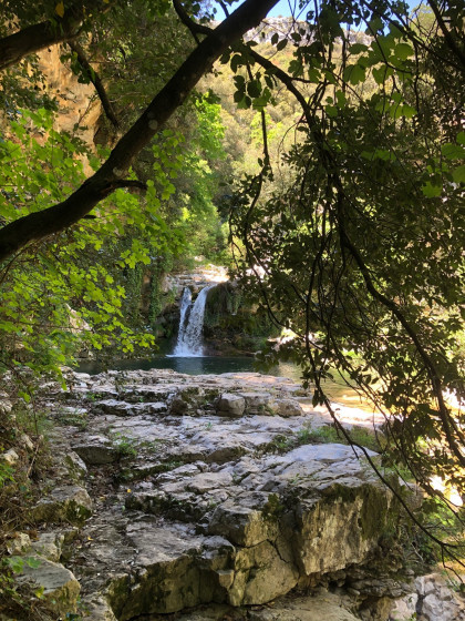 Cascade et laune.